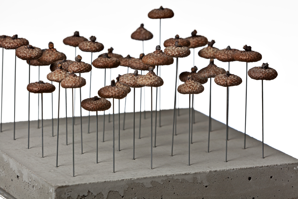 Standing object: acorn, wire, concrete (25 x 20 x 20 cm).