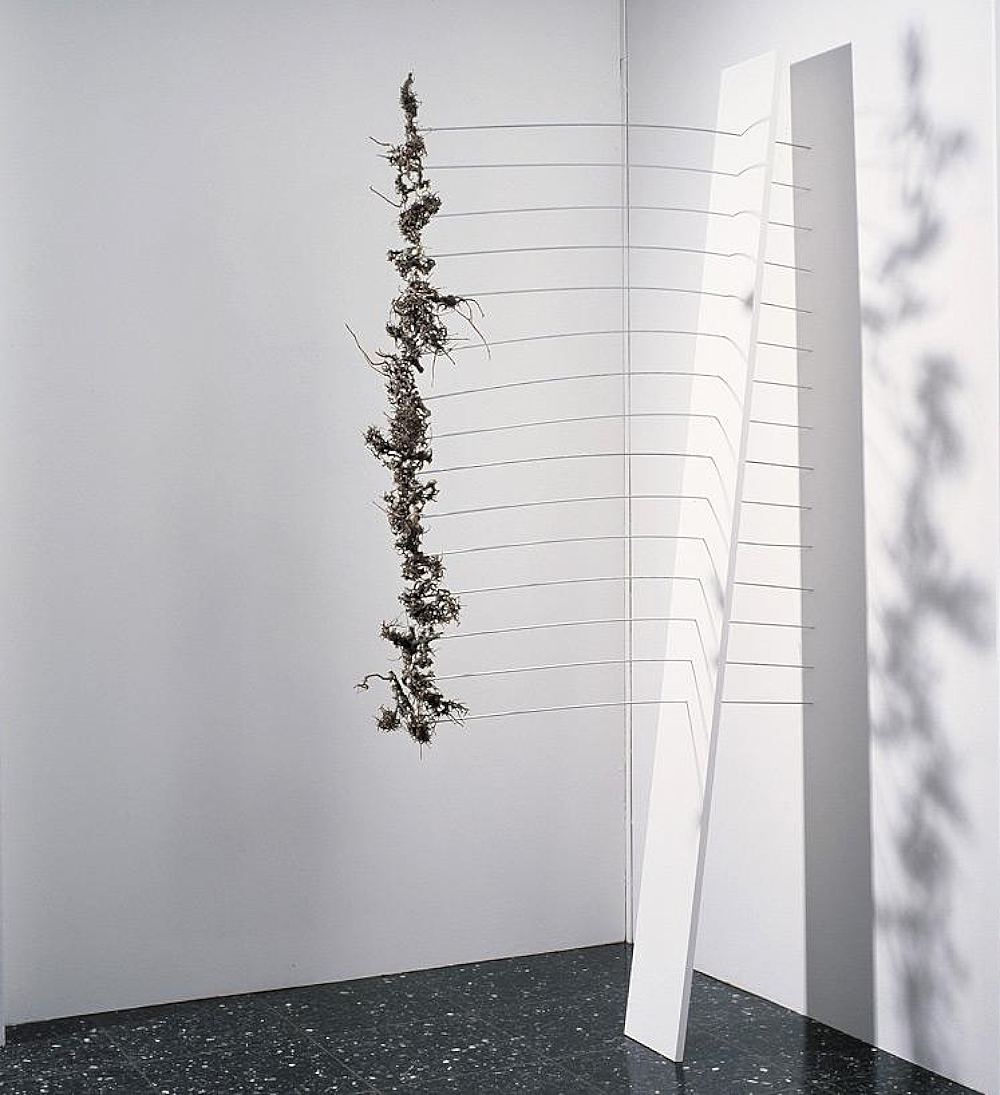 Wall object: hornbeam-threaded rod-wood (220 x 22 x 105 cm).