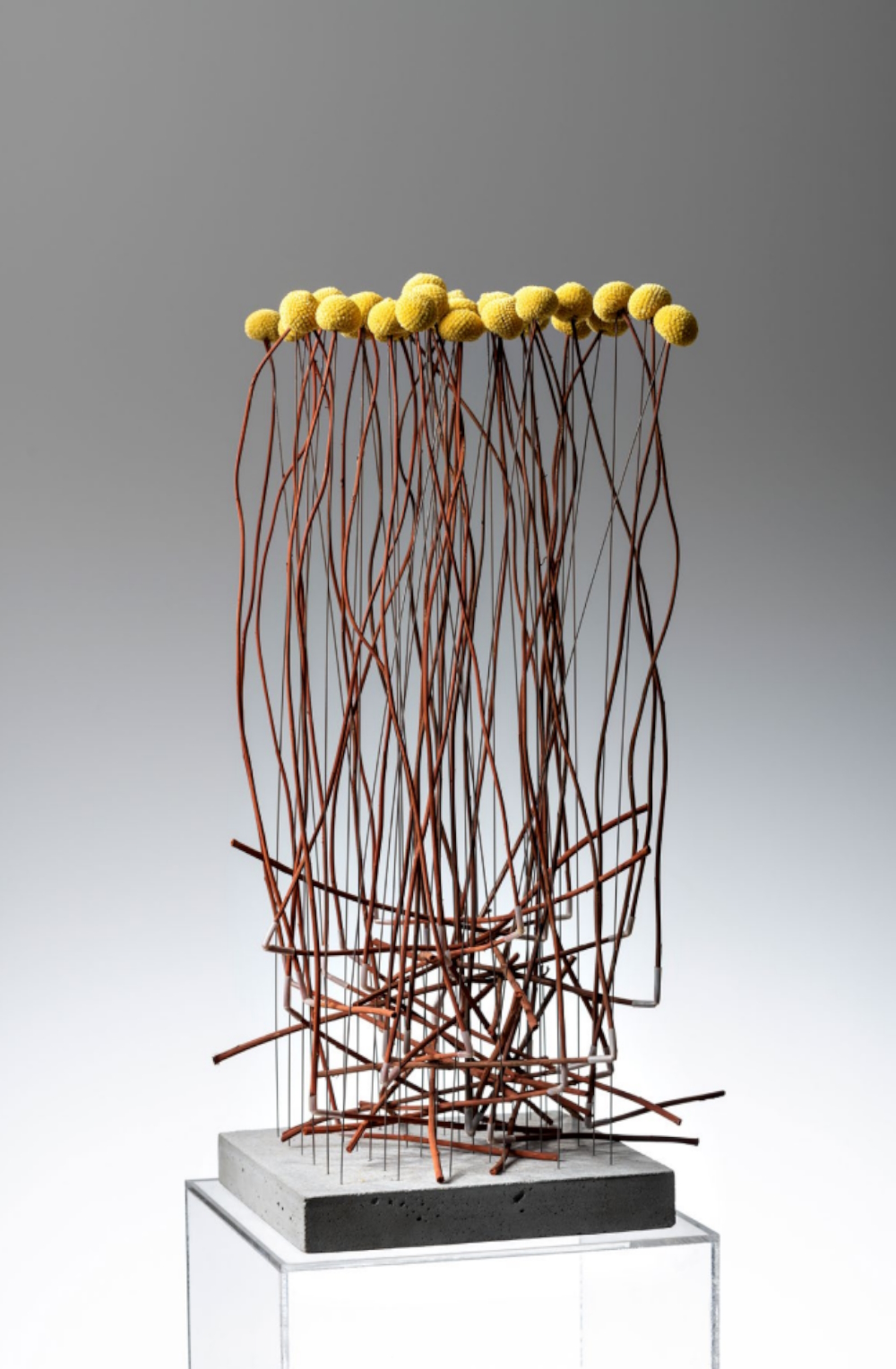 Standing object: Billy Buttons (65 x 24 x 24cm).