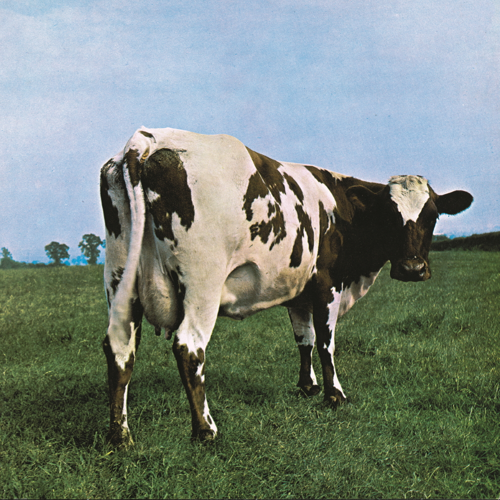 Covershot of Pink Floyd's album 