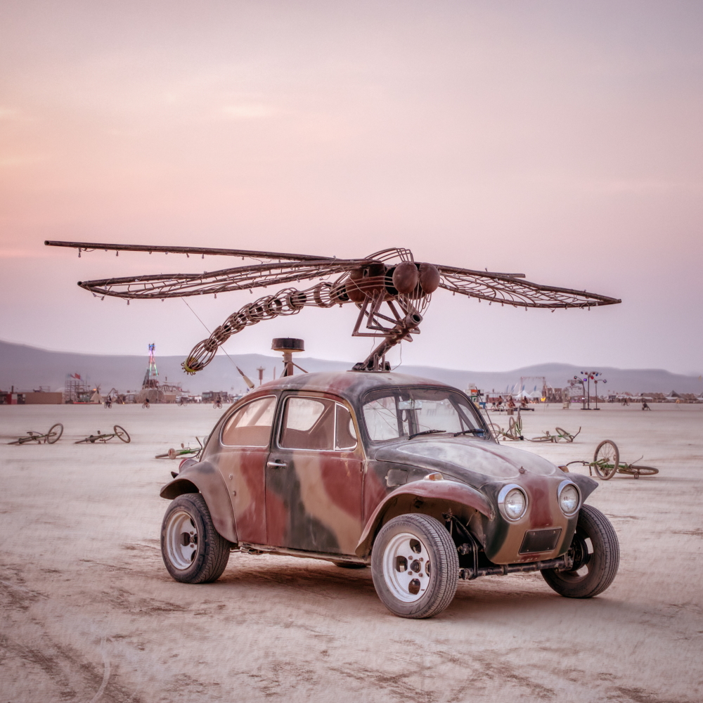Dragonfly at Burning Man