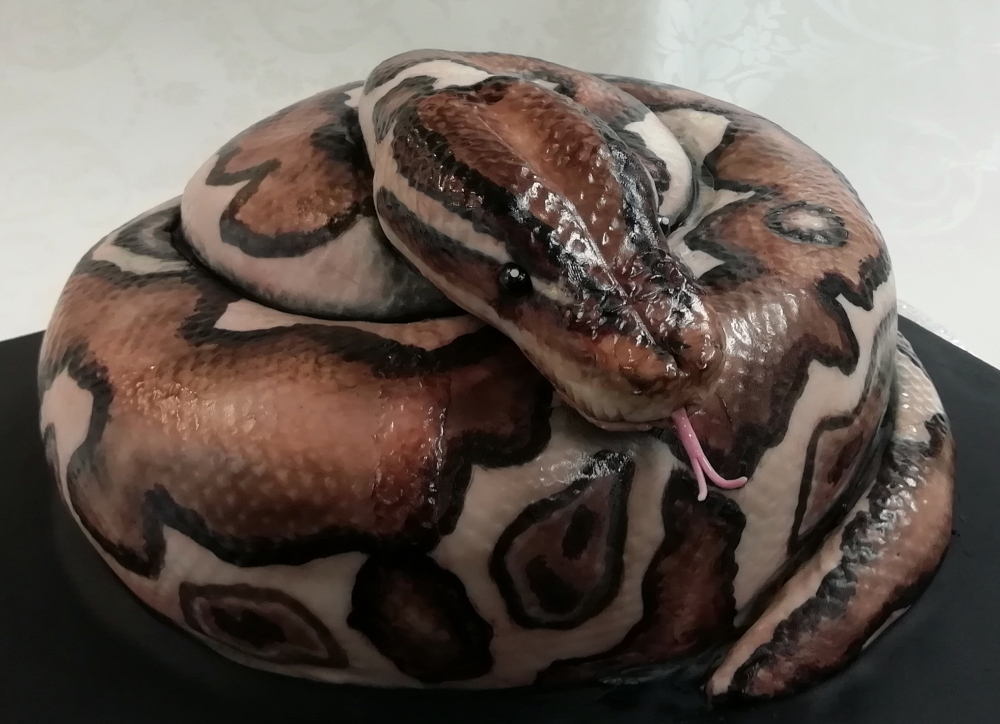 The Python: birthday cake with a definite bite