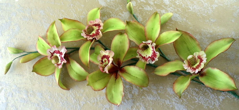 Cymbidium orchids (