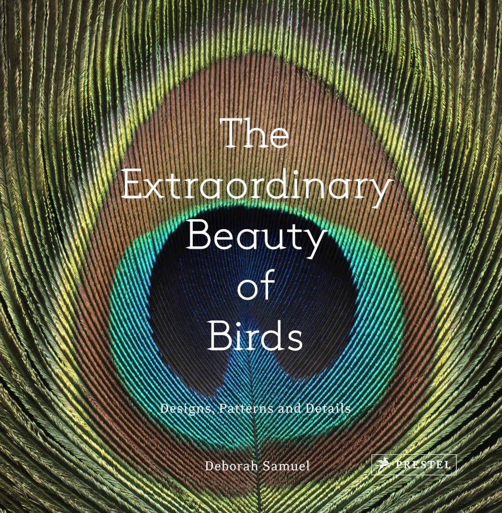 'The Extraordinary Beauty of Birds' is Deborah Samuel's third photography book: 