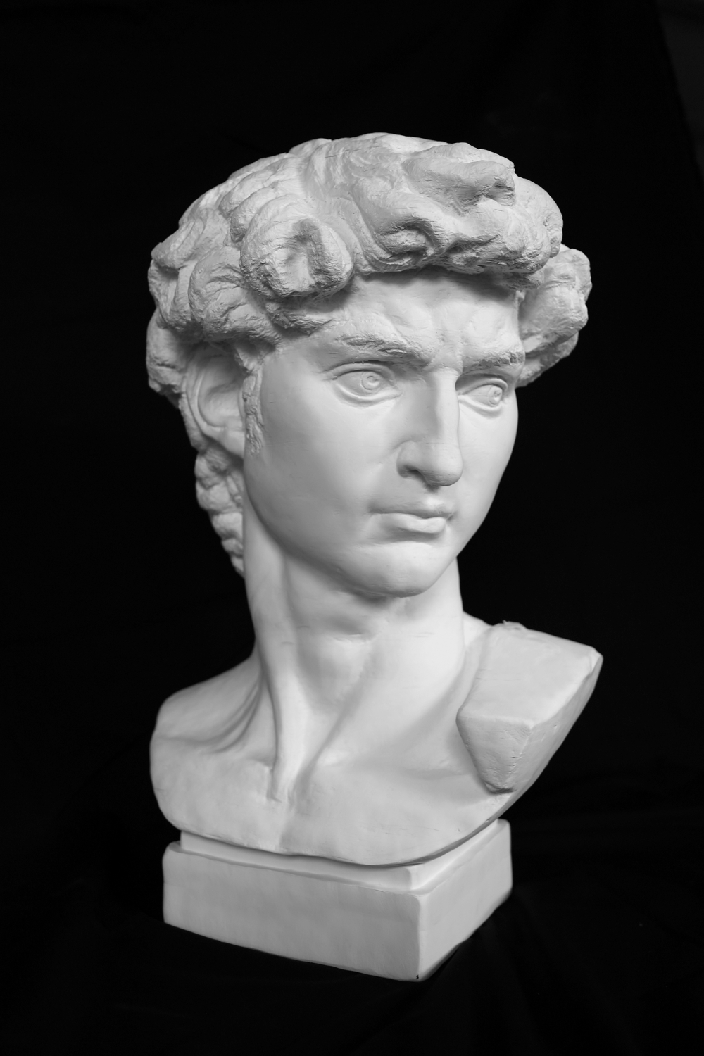 Bust of David, paper, 69x48x48cm