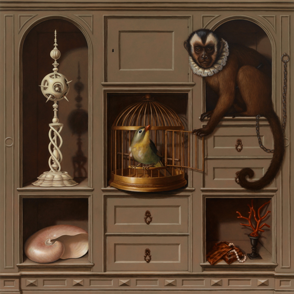 'Collection Cabinet'