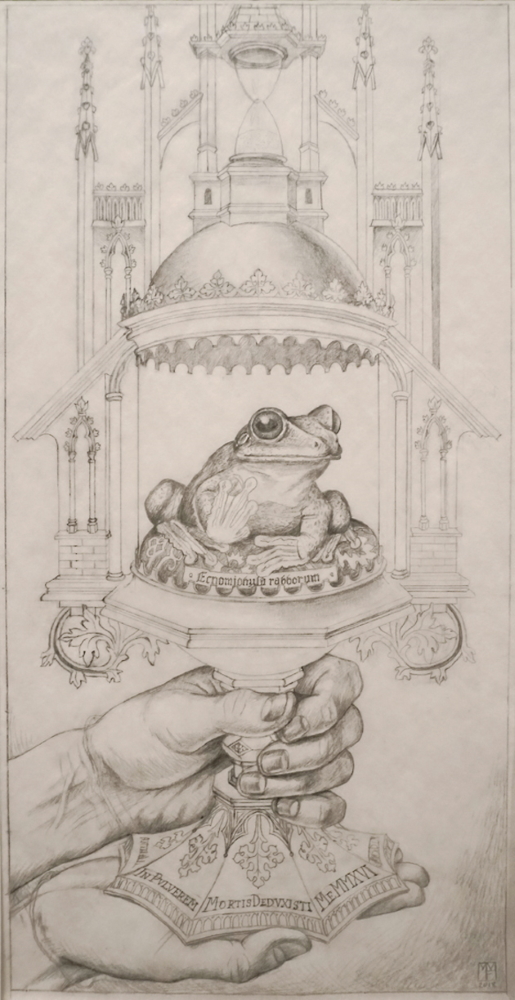 'Rabbs Frog' (drawing)