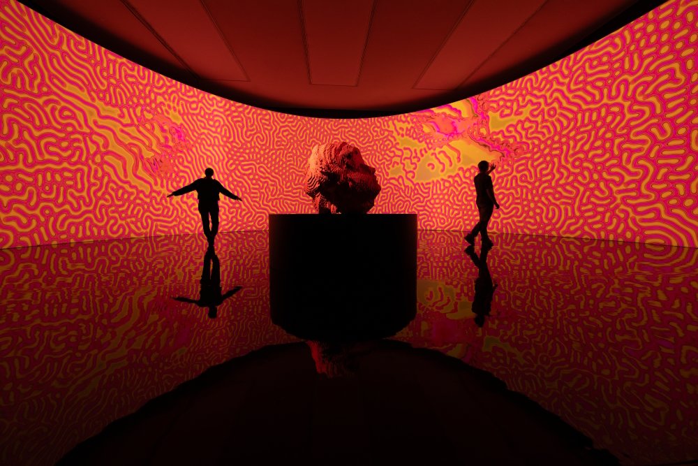 Origin Of The World (2025) - Generative and interactive virtual-reality installation. Solo exhibition Digital by Nature - The Art of Miguel  Chevalier, Kunsthalle München, Munich (Germany).