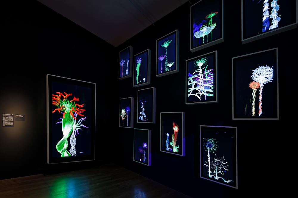 Fractal Flowers (2025) - 13 virtual-reality artworks on LCD screens. Solo exhibition Digital by Nature - The Art of Miguel Chevalier, Kunsthalle München, Munich (Germany).