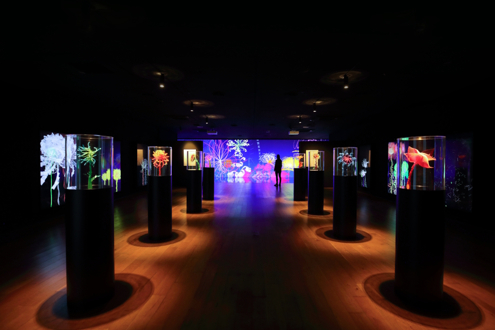 Fractal Flowers, Seeds And Garden (2023) in Ara Art Center, Seoul (South Korea).