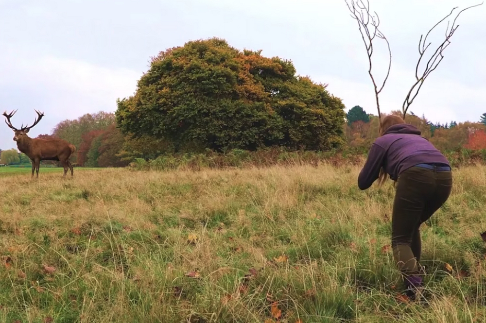 'Herd Mentality' (2020, freeze frame from video): 