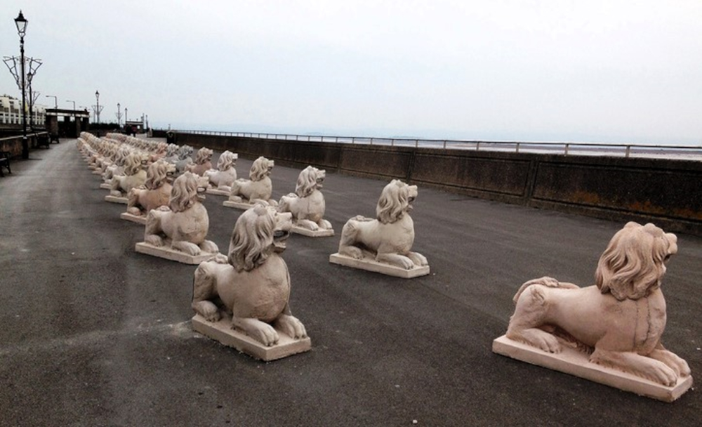 'Lions': 