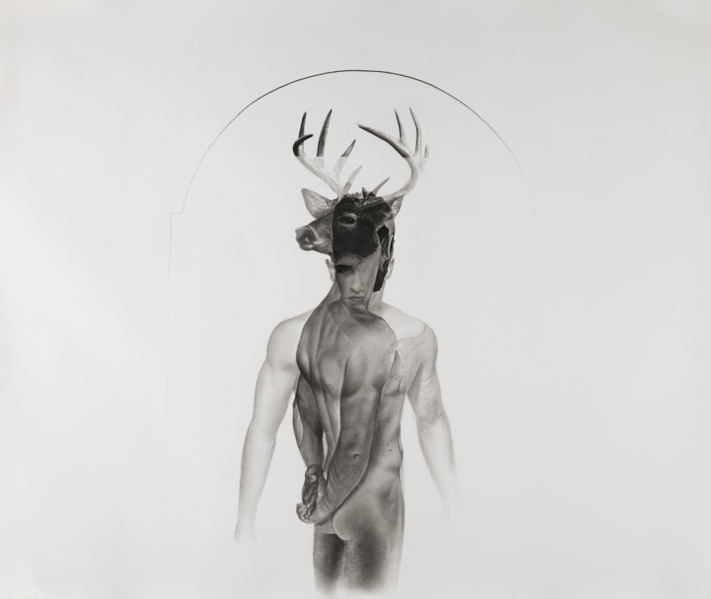 'Cyparissus' (2012, graphite and charcoal on paper, 101 x 121 cm)